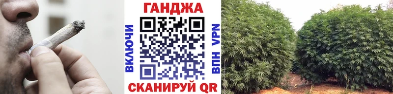 Бошки марихуана конопля  OMG ССЫЛКА  Каргат 